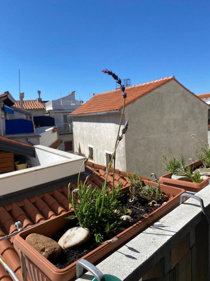 Lucy Apartment Piran-Punta Εξωτερικό φωτογραφία